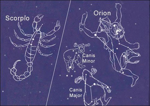 constelação de escorpião e órion no céu